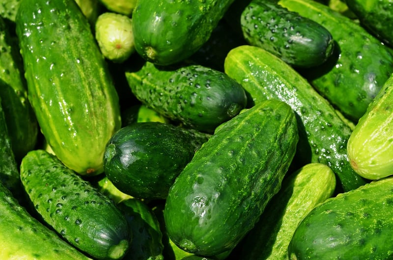 Quality Ingredients